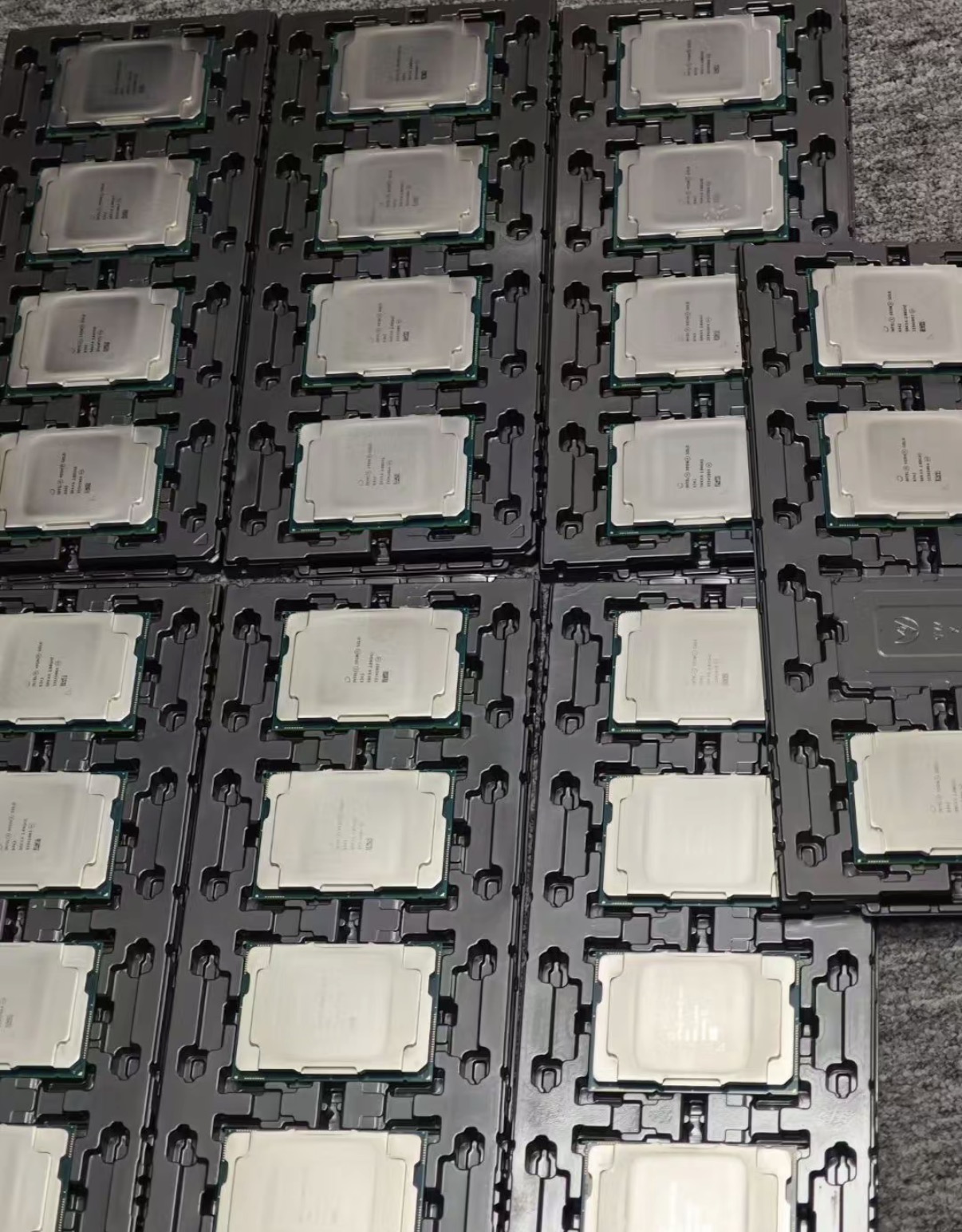 CPU & Processors